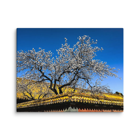 Petals and Palaces - Blue Bamboo Enterprises 