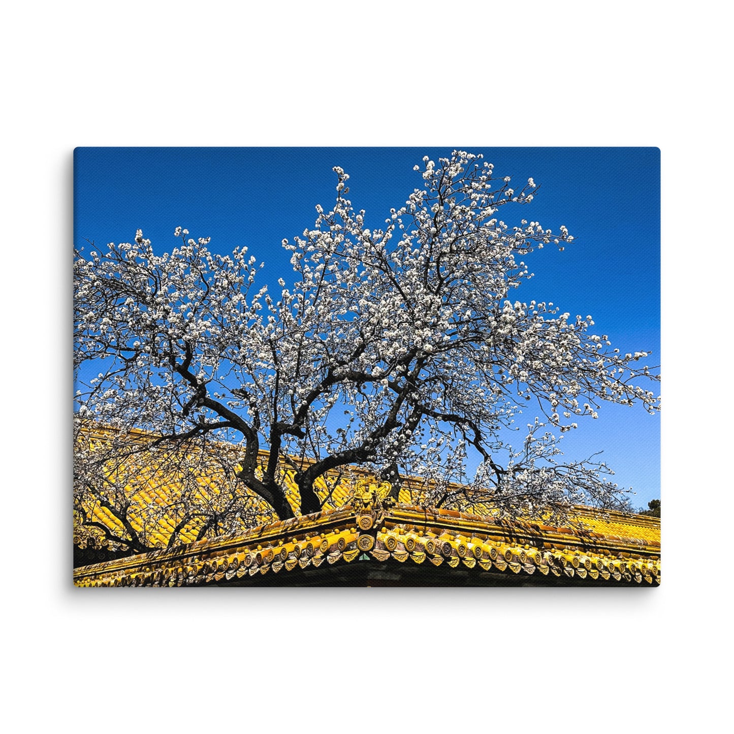 Petals and Palaces - Blue Bamboo Enterprises 