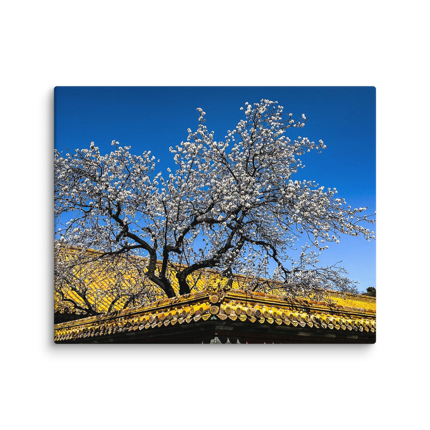 Petals and Palaces - Blue Bamboo Enterprises 