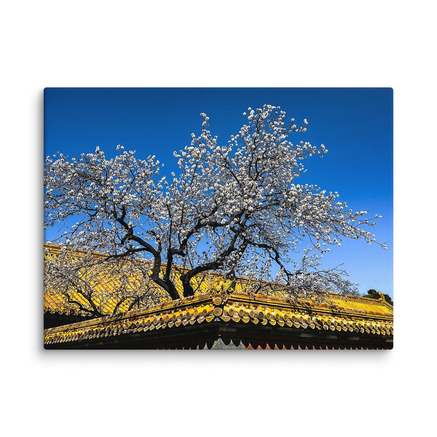 Petals and Palaces - Blue Bamboo Enterprises 