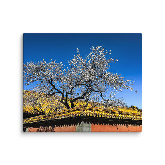 Petals and Palaces - Blue Bamboo Enterprises 