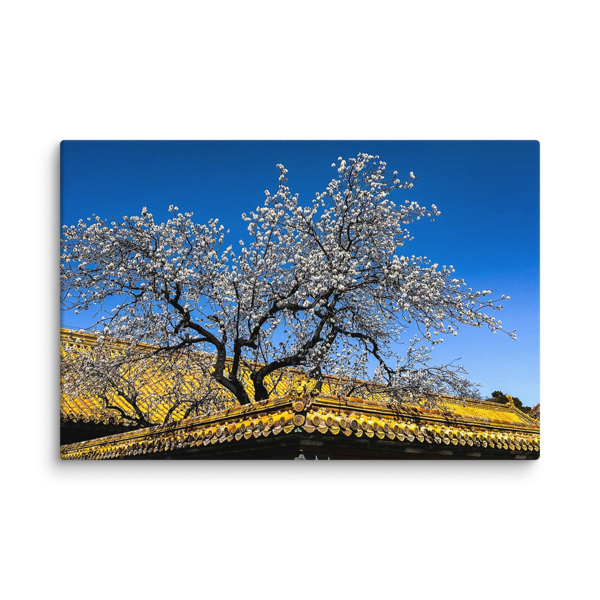 Petals and Palaces - Blue Bamboo Enterprises 