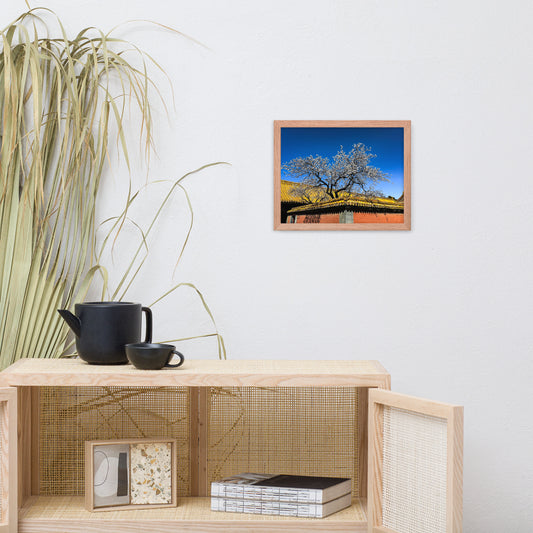 Petals and Palaces - Blue Bamboo Enterprises 