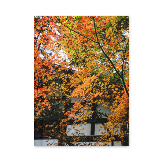 Maples in the Garden Hardcover journal- 150 Lined Pages - Blue Bamboo Enterprises 